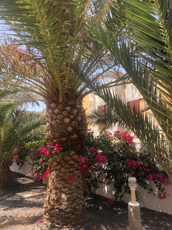 Apartamento Sunny Complex Amaya Fuerteventura Costa De Antigua Eksteriør billede