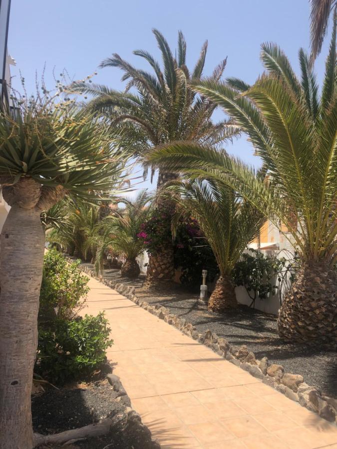 Apartamento Sunny Complex Amaya Fuerteventura Costa De Antigua Eksteriør billede